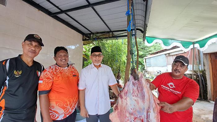 PKS Kalbar Sebar 63 Ekor Sapi Kurban