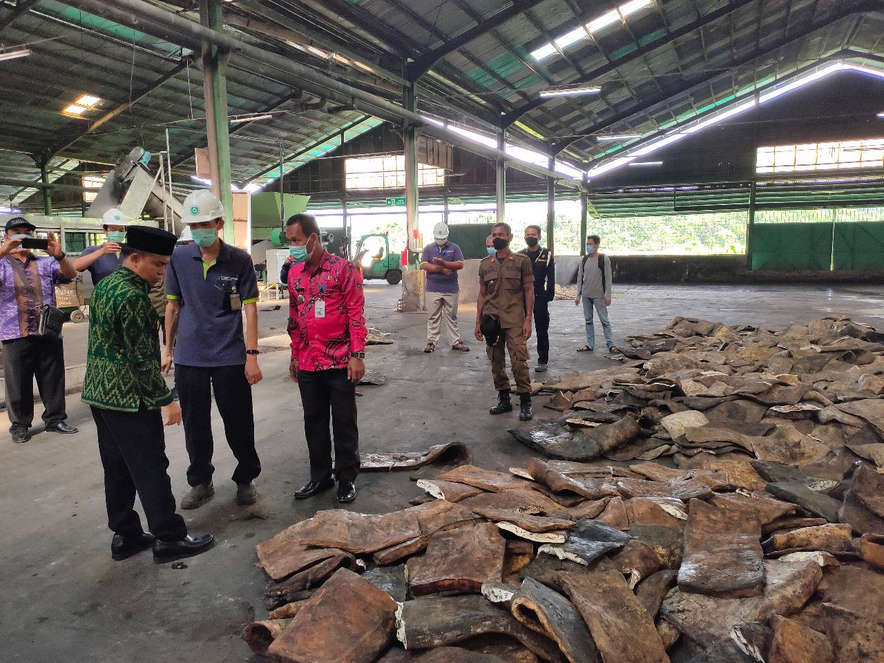 Bupati di Kalbar Ungkap Fakta Harga Karet Murah, Ternyata Campuran Tanah, Kualitas Bagus Rp14 Ribu