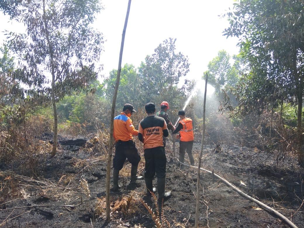 10 Hektar Lahan Terbakar, BPBD Pontianak Imbau Masyarakat Tak Bakar Sembarangan