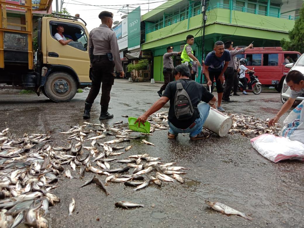 banjir-ikan-di-jalan.jpg