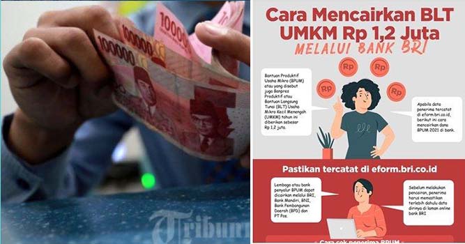 bantuan-umkm-cair-dan-segera-cek-saldo-masuk-atau-tidak.jpg
