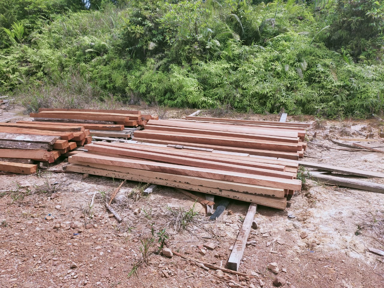 barang-bukti-kayu-hasil-tindak-pidana-illegal-logging.jpg