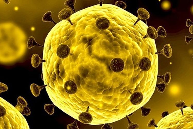 baru-sembuh-2-hari-dari-virus-corona-pasien-covid-19-ini-meninggal-dunia.jpg