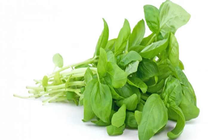 bayam-dilarang-dimakan-orang-orang-dengan-kondisi.jpg