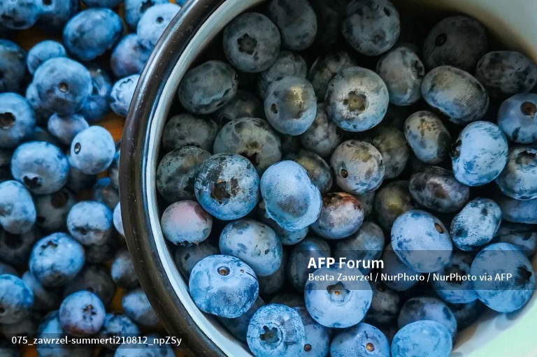 blueberry-alami-untuk-kolagen.jpg