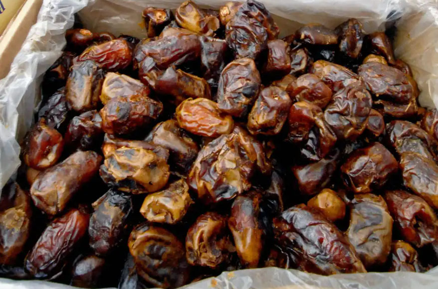 buah-kurma-111.jpg