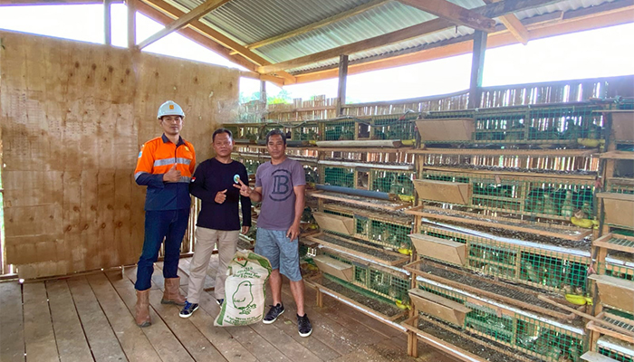 budidaya-burung-puyuh-petelur-binaan-cmi-site-sandai-melalui-program-csr.jpg