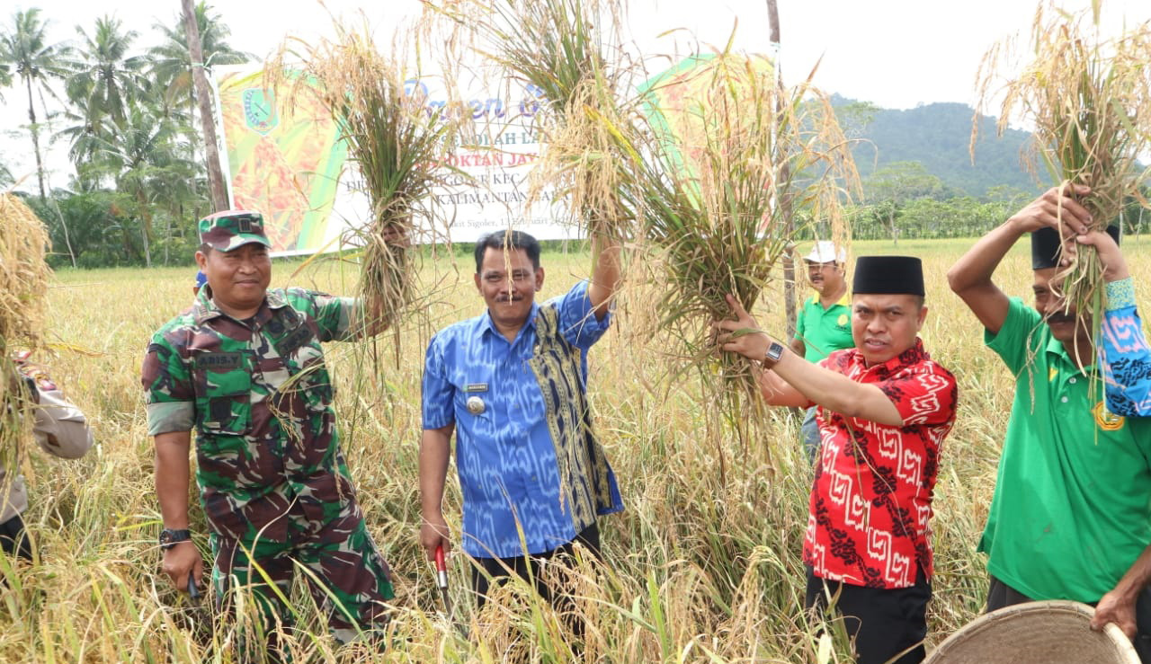 Perlu Pembenahan Irigasi untuk Mendukung Pertanian Kabupaten Sambas