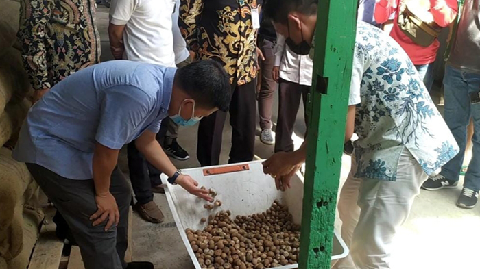 Bupati Satono Dukung Ekspor Pinang Kabupaten Sambas