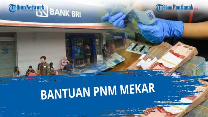 cara-cek-bantuan-pnm-mekar-bank-bni-httpbanpres-bpumcoid-login-cara-daftar-online-umkm-efrom-bri.jpg