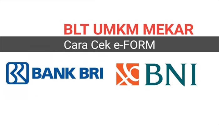 cara-cek-blt-umkm-tahap-3-di-bank-bni-dan-bri.jpg