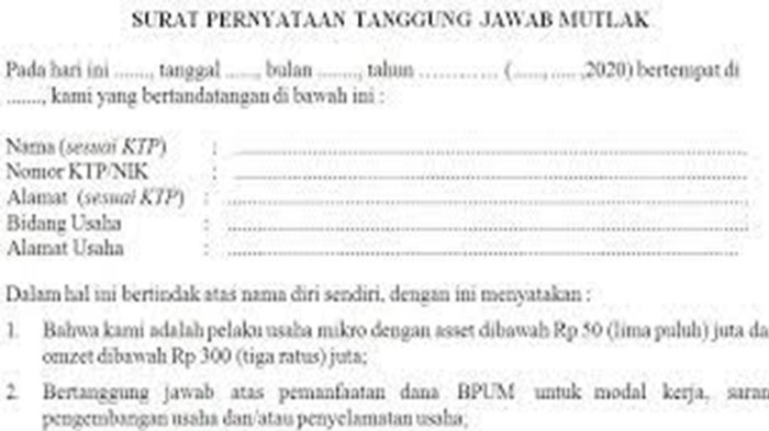 contoh-surat-pernyataan-tanggung-jawab-mutlak-umkm-2021-sptjm-pnm-mekar-sptjm-bpum-bni-sptjm-bri.jpg
