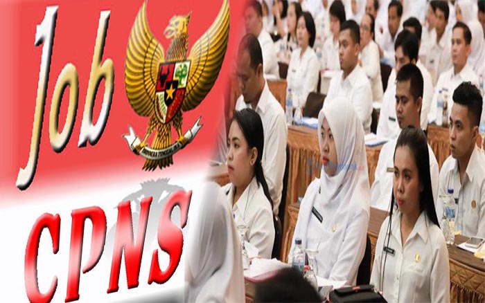 cpns-2019-tak-ada-lagi-rekrutmen-honorer-ini-yang-harus-kamu-siapkan-jelang-cpns-2019-p3k-2019.jpg
