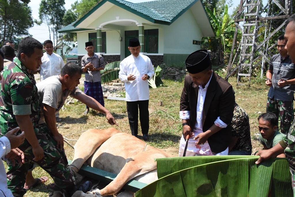 Danrem 121/Abw Serahkan 2 Ekor Sapi dan 2 Ekor Kambing untuk Dikurbankan