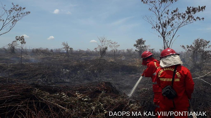 Manggala Agni Daops Kalimantan VIII/Pontianak Padamkan Karhutla di Kubu Raya dan Mempawah