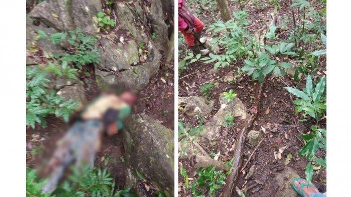 Ular Piton Ganas Panjang 5 Meter Gigit & Lilit Warga Hingga Tewas, 4 Bekas Gigitan di Bagian Kepala