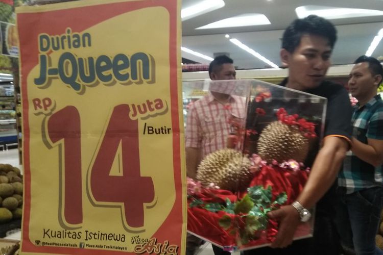 durian-j-queen.jpg