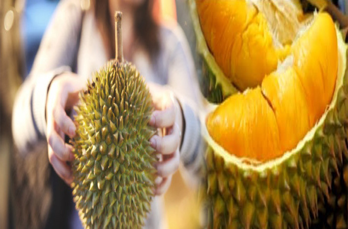 durian-miliki-banyak-manfaat-untuk-kesehatan-salah-satunya-meningkatkan-kesuburan-wanita.jpg