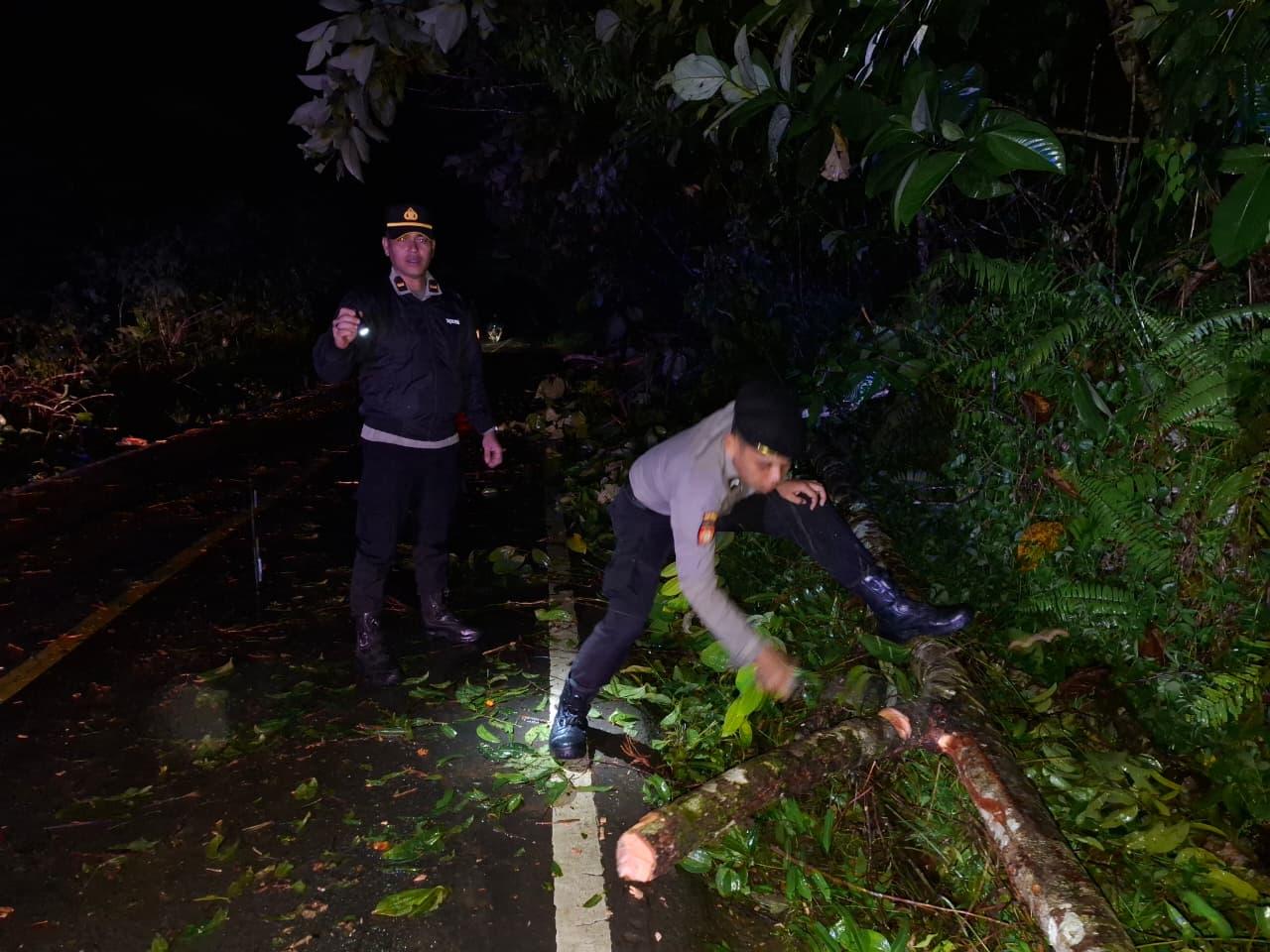 Respons Cepat Polisi Evakuasi Pohon Tumbang di Jalur Sintang–Nanga Pinoh