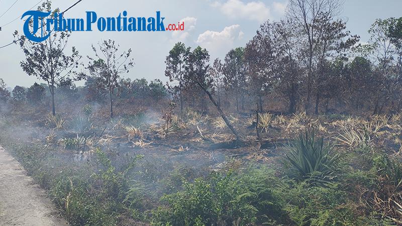 Kebakaran Lahan Terjadi di Parit Sembin, Warga Sebut Api Sudah Sebulan Menyala