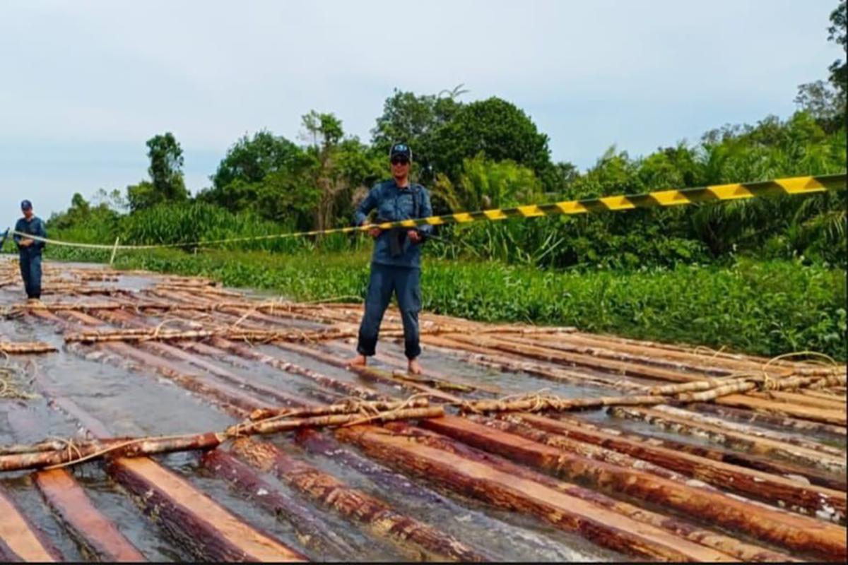 gelondongan-kayu-43543.jpg