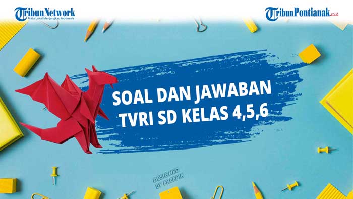 Seekor Lumba-lumba Menyelam ke Dalam Air 8 m Kemudian Melompat 17 m, Ketinggian Lompatan Lumba-lumba