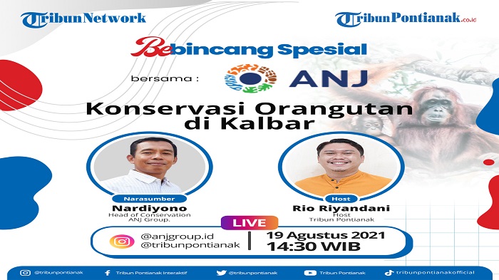 Lewat Wilayah Konservasinya, ANJ Berhasil Tingkatkan Populasi Orangutan