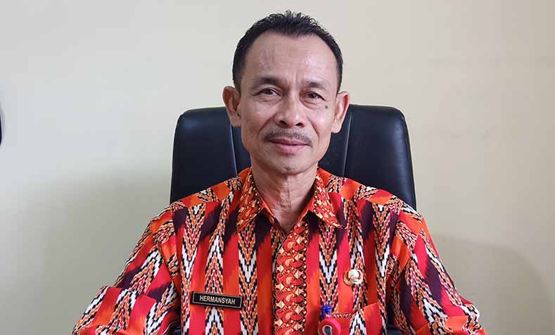 hermansyah-batik.jpg
