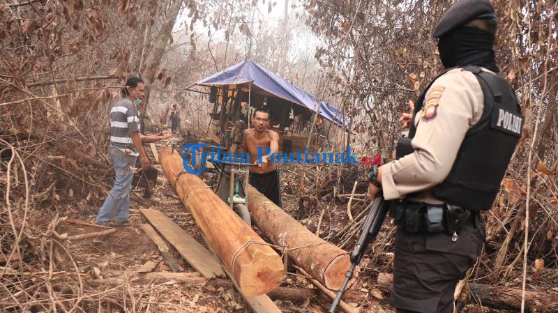 ilegal-logging-sawmill-teluk-bakung-1.jpg<pf>ilegal-logging-sawmill-teluk-bakung-2.jpg<pf>ilegal-logging-sawmill-teluk-bakung-3.jpg<pf>ilegal-logging-sawmill-teluk-bakung-4.jpg<pf>ilegal-logging-sawmill-teluk-bakung-5.jpg<pf>ilegal-logging-sawmill-teluk-bakung-6.jpg<pf>ilegal-logging-sawmill-teluk-bakung-7.jpg<pf>ilegal-logging-sawmill-teluk-bakung-8.jpg