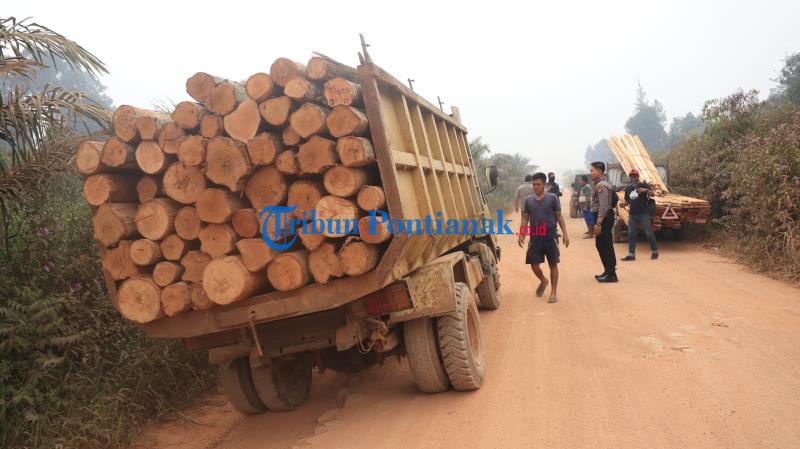 Founder Suara Konservasi Kalbar: Gakkum Illegal Logging Perlu Pendalaman yang Terstruktur