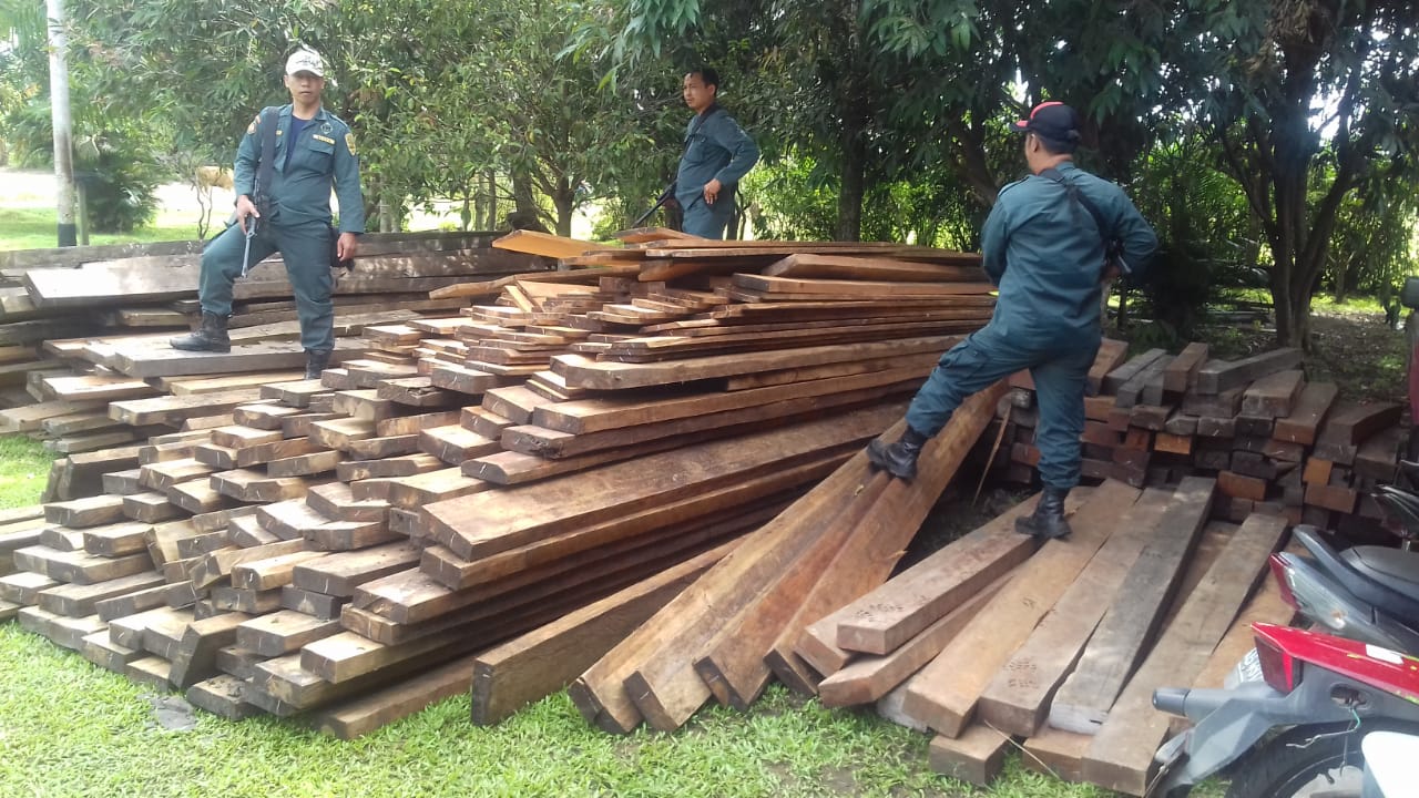 Penyidik Balai Gakkum Sita 486 Batang Kayu Hasil Ilegal Logging