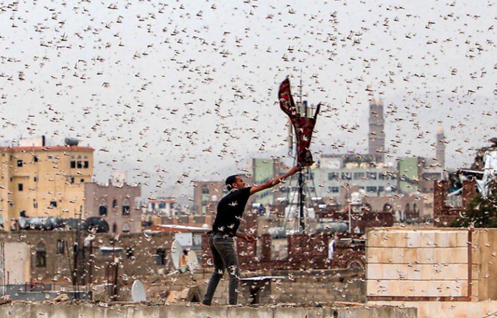 Pandemi Corona Belum Usai, Muncul Wabah Lain hingga 30 Juta Manusia Terancam Alami Kelaparan Massal