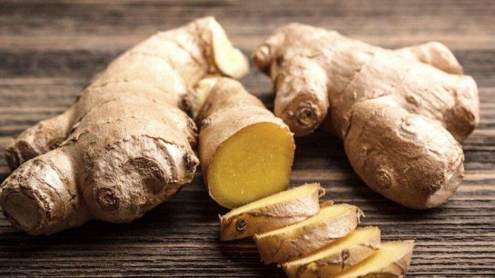 ilustrasi-jahe-untuk-obat-asam-urat-nih.jpg