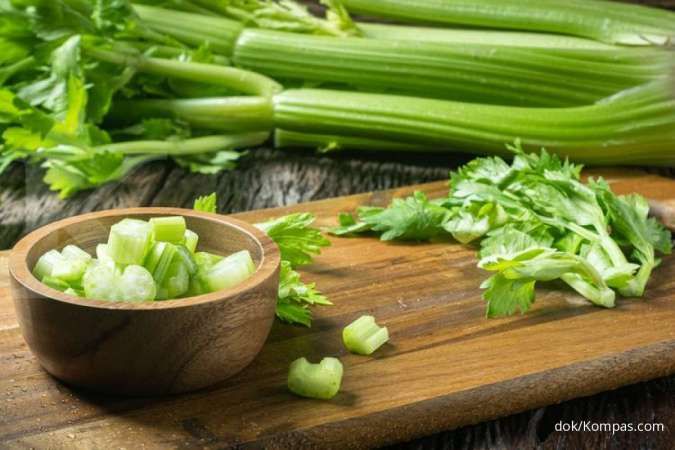 ilustrasi-seledri-hijau.jpg
