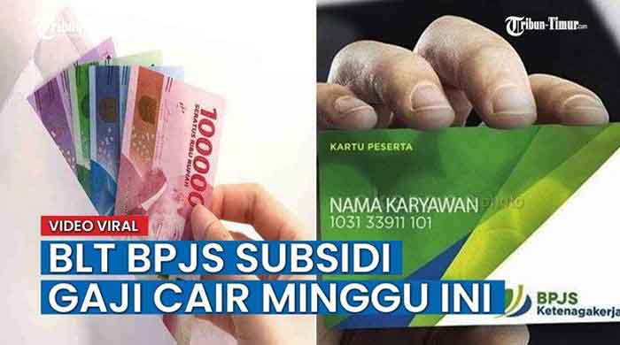 Info Pencairan BLT BPJS 2021 Login https://sso.bpjsketenagakerjaan.go.id/ Cek Calon Penerima BLT