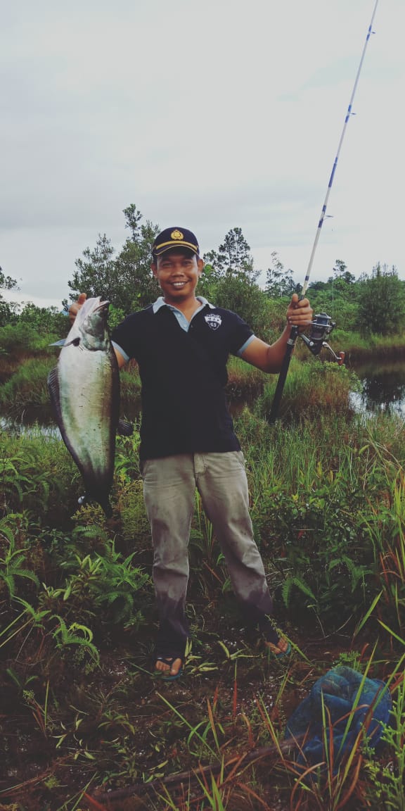 Hobi Mancing, Kapolsek Mempawah Hulu dapat Ikan Belidak Besarnya Capai 2 Kilogram