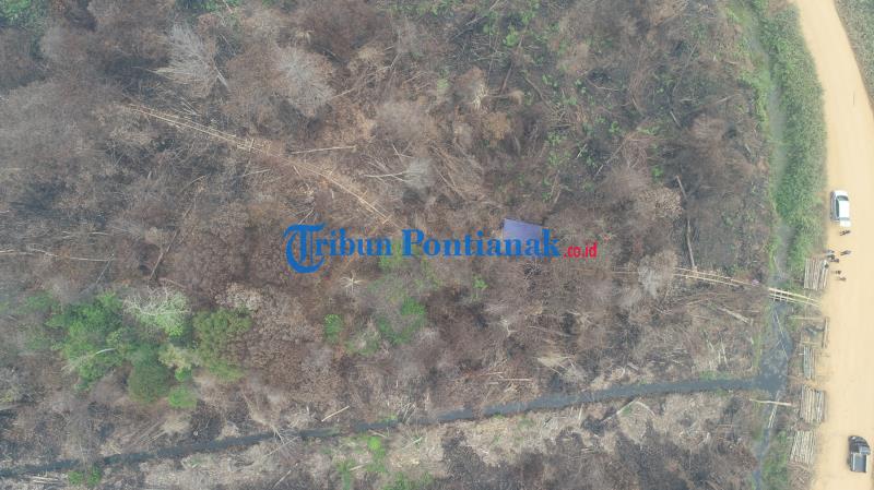 FOTO DRONE: Jalur Menuju Hutan untuk Mengambil Kayu Diduga Ilegal Logging di Teluk Bakung Kubu Raya - jalur-menuju-hutan-untuk-mengambil-kayu-ilgal-logging-di-desa-teluk-bakung-1.jpg