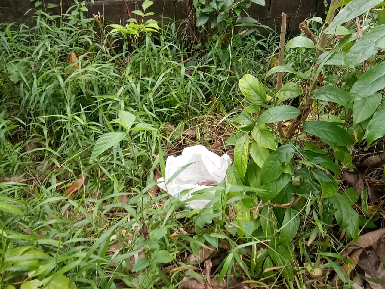 jasad-seorang-bayi-ditemukan-terbungkus-dalam-kantong-plastik-di-gang-h-rademan.jpg
