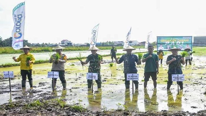 Wujudkan Kedaulatan Pangan, Pemkab Kubu Raya Gelar Gerakan Tanam Padi