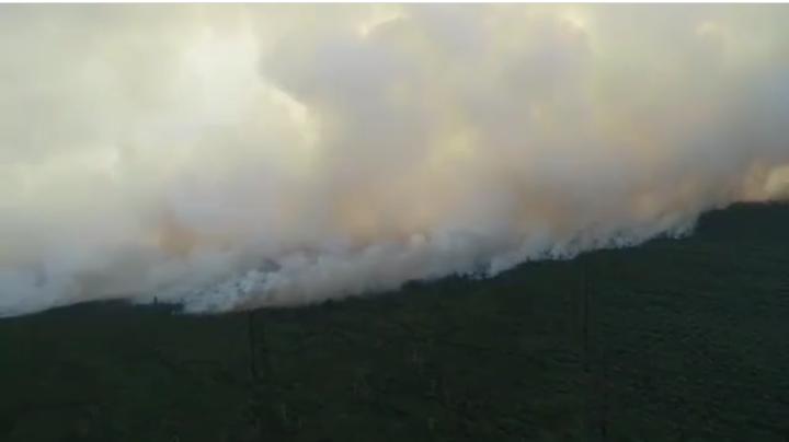 kabut-asap-akibat-kebakaran-lahan-di-desa-pelang-kabupaten-ketapang.jpg