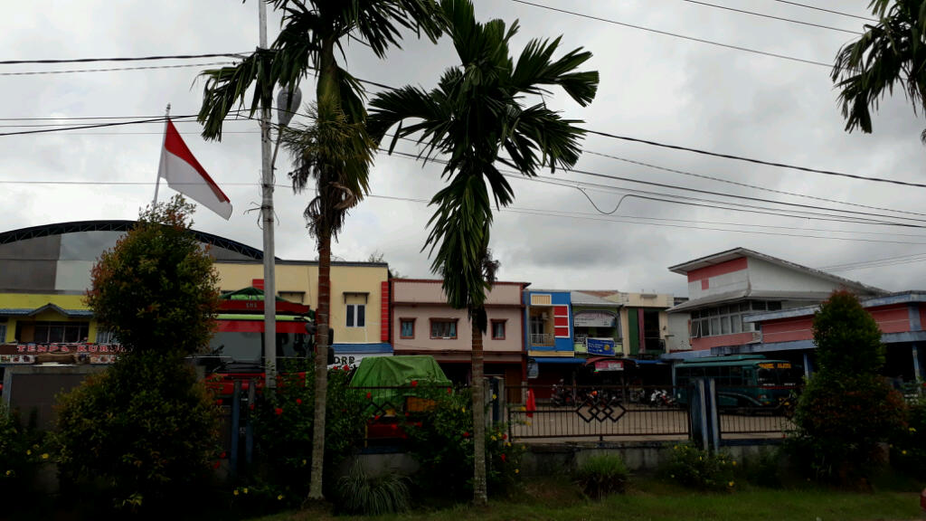 TRIBUN WIKI: Alamat Terminal Bus Sanggau