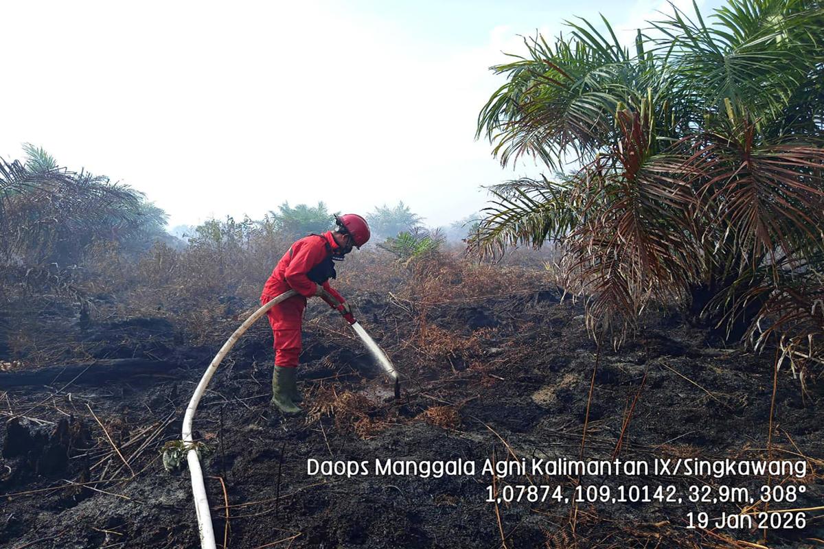 karakteristik-lahan-gambut.jpg