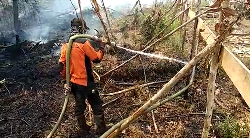 BREAKING NEWS - Karhutla Dekati RSUD Kayong Utara, Berjarak 3 Meter Dari Gedung