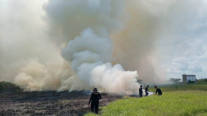 Januari - 31 Mei 2026 Kebakaran Lahan Mencapai 28 Hektare, BPBD Kalbar Perkuat Antisipasi Karhutla - Tribunpontianak.co.id
