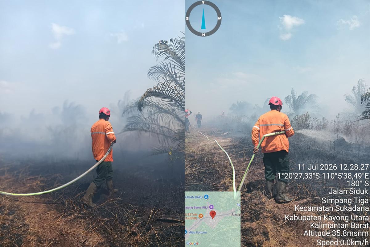 3 Kecamatan di Kayong Utara Ini Masuk Zona Rawan Karhutla! Titik Panas Mulai Bertebaran - Tribunpontianak.co.id