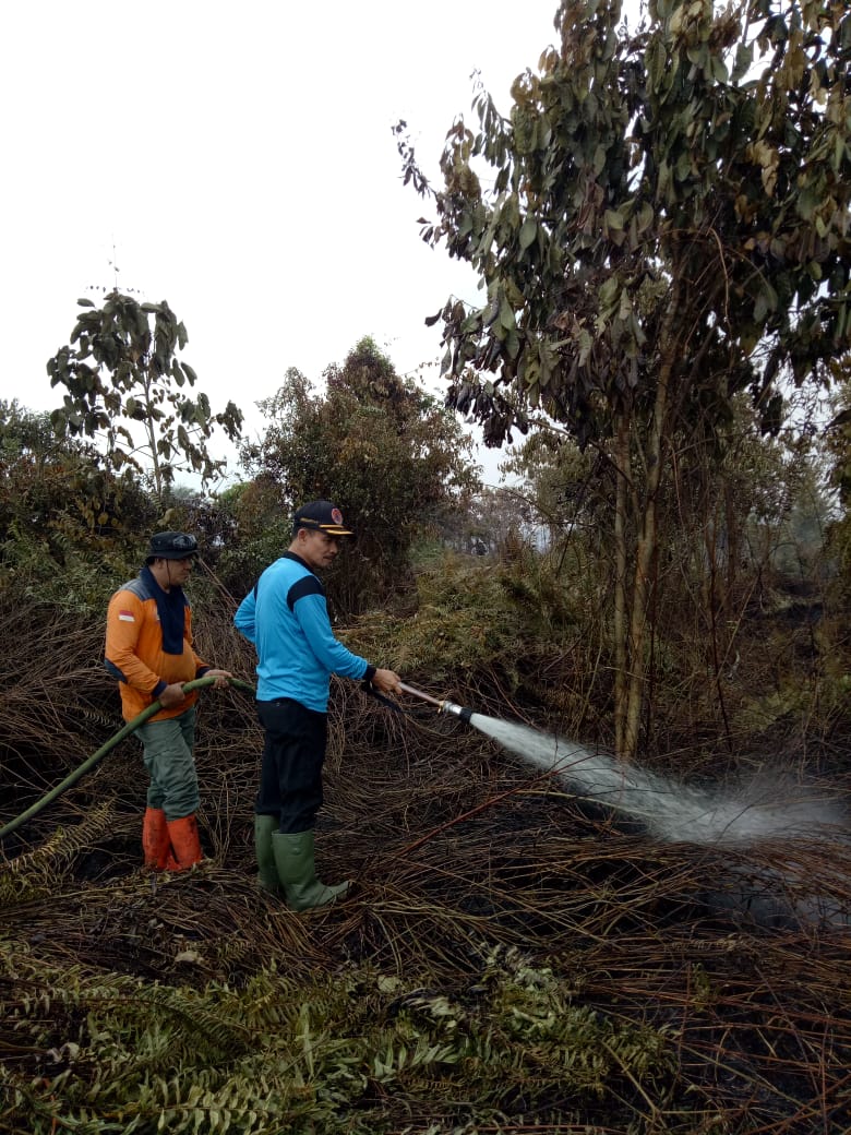 Karhutla Semakin Meluas, Kepala BPBD Mempawah Sebut Puluhan Relawan Bantu Padamkan Api