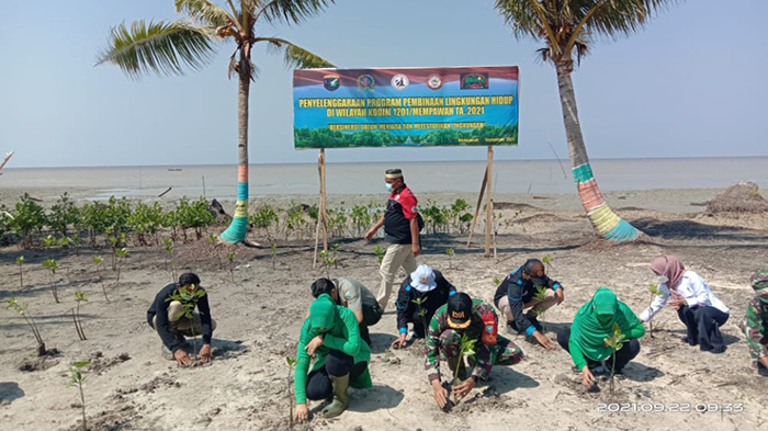 kodim-1201mph-melakukan-penanaman-ribuan-bibit-mangrove-di32.jpg