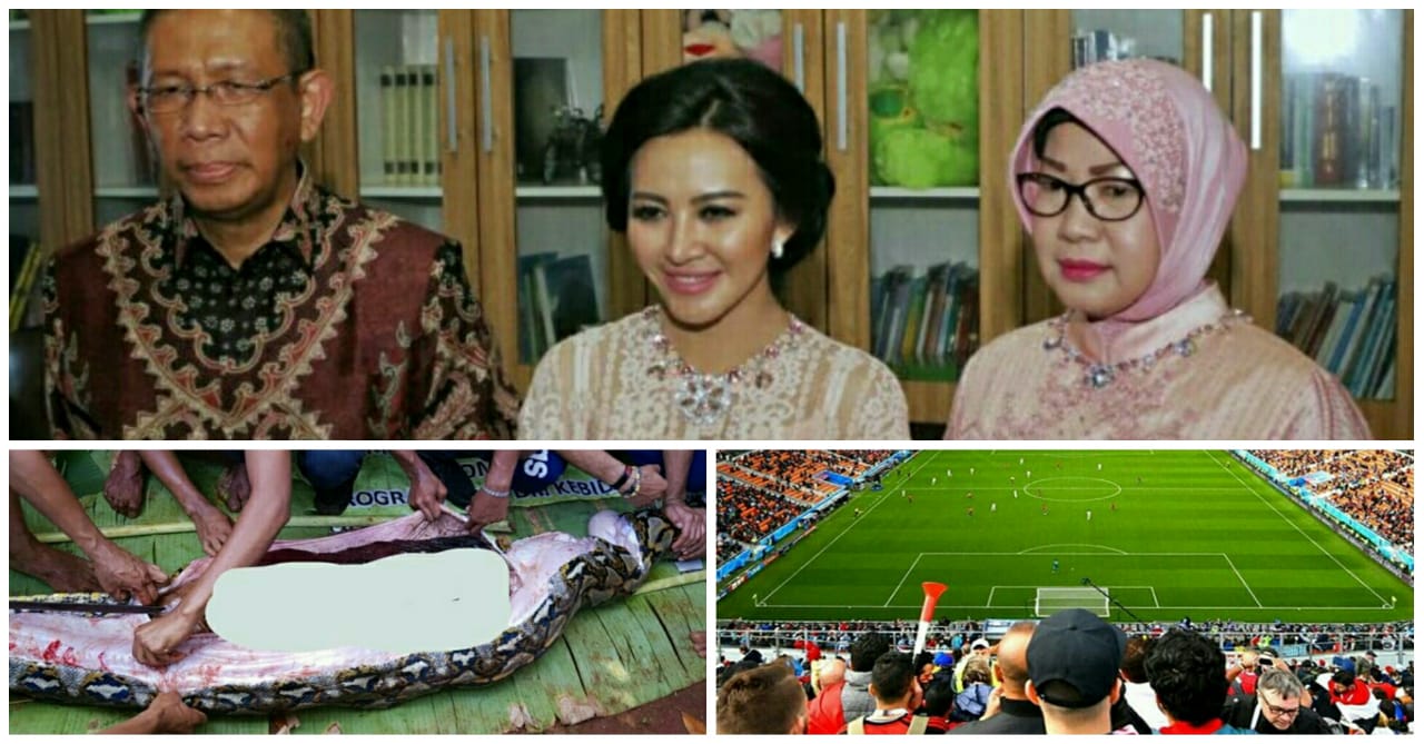 TERPOPULER - Karolin dan Sutarmidji Bertemu Hingga Ular Piton Kembali Telan Manusia