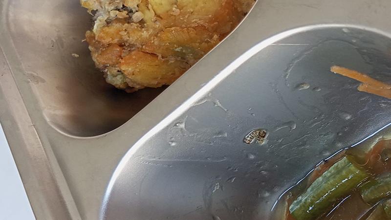 Ditemukan Ulat Sayur dalam Menu MBG di Sintang, Zamzami : Ini Jadi Catatan Kami