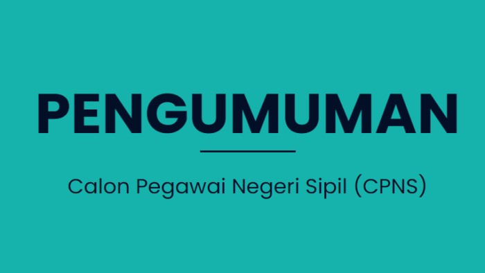 Pengumuman CPNS Terbaru Lengkap Syarat Ujian dan Tahapan SKB ASN 2021